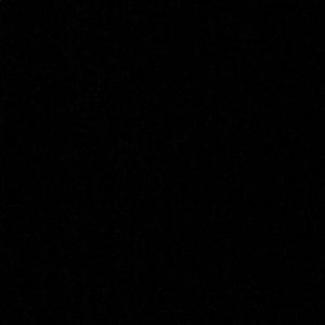 Meet your Posher, Rylee